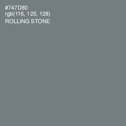 #747D80 - Rolling Stone Color Image